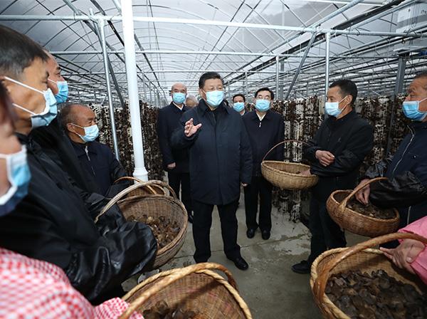 习近平总书记考察sunbet申搏援建的金米村智能连栋木耳大棚